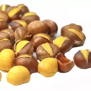 황금약단밤 칼집밤 햇밤 1kg
