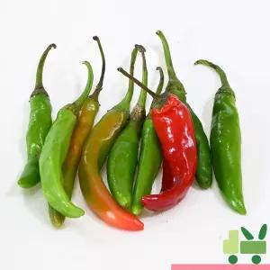 청양고추 5Kg (하)