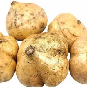 멕시코감자 히카마 5kg