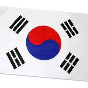 (올핀)태극기 90x135cm 게양용 월드컵 응원 국기
