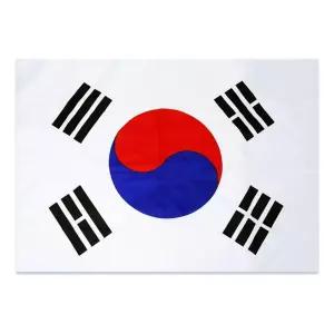 응용용품 국기 게양용태극기90x135cm 월드컵 응원