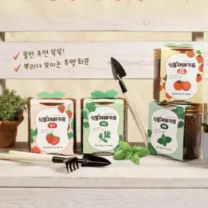 키트 grow 새싹 식용식물 이지그로우 식물 키우기 재배 easy 채소