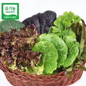 당일수확 발송 유기농 모듬 쌈채소(야채) 600g