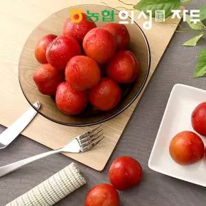 [의성진] 26년 햇 자두_포모사 자두 2.4kg (1.2kg*2팩)