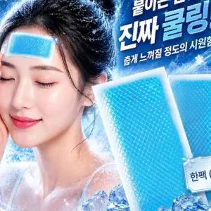 KC인증 1팩(2매입) 붙이는 아이스 쿨패치 쿨팩 시원한패치 여름용품 쿨링패치