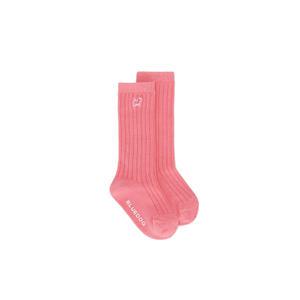 [블루독베이비] PK)컬러 골지 니삭스 45-114-812-01