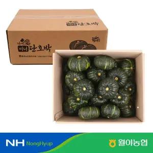 함평 나비애 미니단호박 7kg