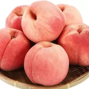 26년 첫출하 고당도 백도 복숭아 말랑이 대과, 2kg, 1개