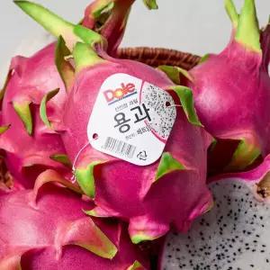 Dragon fruit 열대과일 화이트 용과 Dole 5kg(8~12개입)