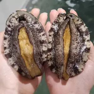 [남도장터] 태화 완도 전복 8-9미 1kg 산소포장