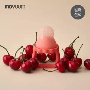 모윰 이지팝 치발기 과즙망 이앓이 해소