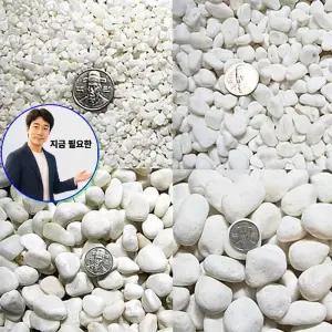 지금 필요한 3kg전후 옥자갈 어항 수족관장식 화분 0-6호 옥돌 구이용 횟집
