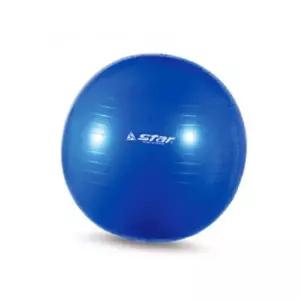 킨볼 요가 헬스용품 55cm 용품 짐볼 필라테스 블루 펌프