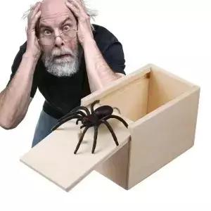 거미 장난 겁주는 나무 상자 재미있는 실용적인 서프라이즈 농담 할로윈 스푸프 선물 가정 장식용