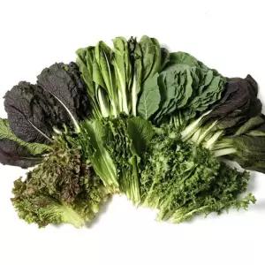 당일수확 산지직송 유기농 모듬 쌈채소 1kg