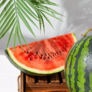 [더조은] 제철가득 하우스 가정용 수박 6kg / 당도선별 / 에어셀포장