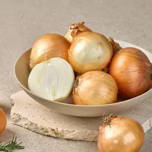 국내산 달큰 아삭한 햇 양파 10kg 소/장아찌용