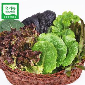 [푸르젠][산지직송] 유기농 모듬 쌈채소(야채) 600g