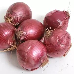 [팜쿡] 햇 자색 무안 양파(중) 2kg