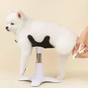 거치대 테이블 소형견 관리 손질 반려 의자