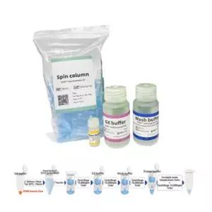 전기영동 겔 추출실험키트(50preps / 아가로스겔에서 DNA 회수)