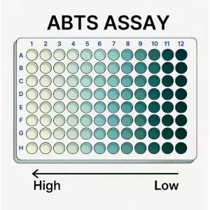 ABTS(시약 100mg / ABTS Assay 자유 라디칼 항산화 활성도 실험시약) 오후2시이전 당일배송
