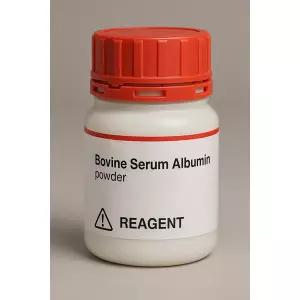 BSA powder 5g(BSA시약 단백질표준분말 파우더 가루 Bovine Serum Albumin)