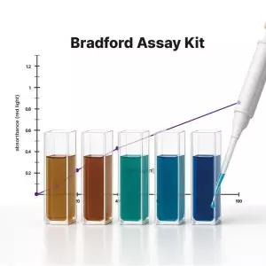 브래드포드 단백질 정량법 실험 키트(Bradford Assay Kit)