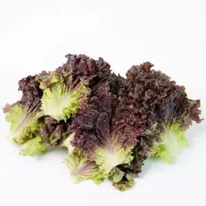 국내산 적상추 쌈채소 4kg 업소용
