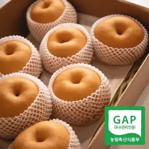 [롯데백화점]과일꾼 30년 경력 김재명 농부 나주배 특품 5kg 10-12과