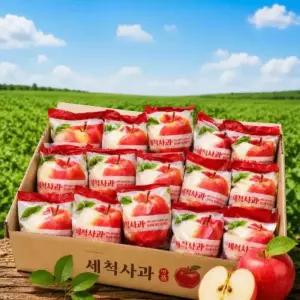 [마트납품용] 세척사과 3kg 최대15brix 껍질째먹는 부사사과