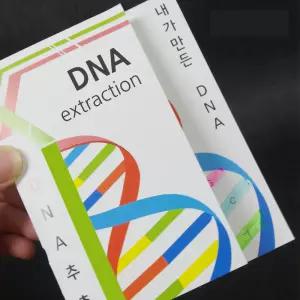 DNA추출법 식물세포 10인set/세포막 생물과학실험키트