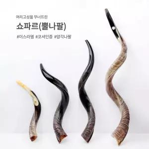 이스라엘 코셔인증 천연 예메나이트 쇼파르 SHOFAR 양각나팔 뿔나팔 호른