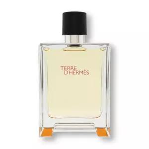 에르메스 떼르 데르메스 EDT 100ml
