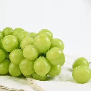 스윗킹 고당도 김천 특품 샤인머스켓 1.5kg(2-3수)