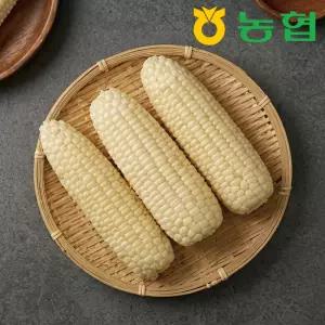 농협 프리미엄 괴산 대학 찰옥수수 특품 10개입
