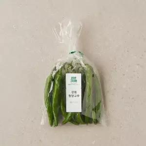 강원 청양고추 150g 봉