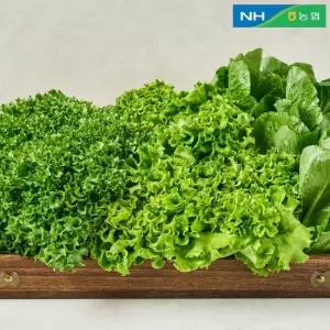 [동김제농협] 유러피안샐러드 6종 中 3-4종 랜덤 750g 대용량 야채믹스 채소믹스