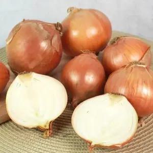 G 국내산 단단한 햇 양파 10kg (특)