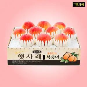 (그레이트백도) 햇사레 백도 복숭아 6kg(3kg+3kg)