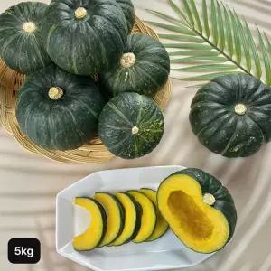 제주 미니 밤호박(보우짱) 5kg(개당 200g~700g)