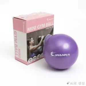 완자몰 미니 짐볼 25cm 운동 요가 미니요가볼