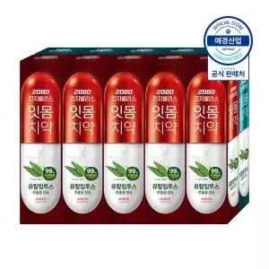 [애경] 2080 유칼립투스 진지발리스 치약 150g x10개
