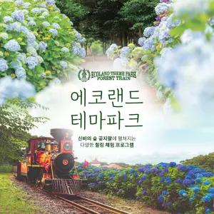 제주 에코랜드 입장권 (가볼만한곳/관광지/제주투어/테마파크/인생샷/자연/힐링/체험/가족/연인/친구/효도관광/키즈/신화월드)