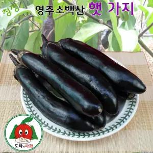 청정 영주소백산 가지 3kg