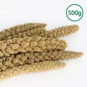 [하프클럽/올펫몰]스프레이 밀렛 500g 알곡 앵무새 햄스터 소동물간식