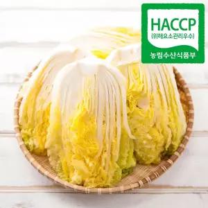 HACCP인증 해남 절임배추 20kg 도착일선택
