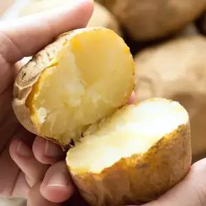 [산해직송][26년 수확 햇감자] 해남 수미감자 (특) / 3kg