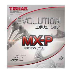 훈련용 스펀지 탁구 라켓 세트TIBHAR Evolution MX-P 탁구 러버 전문 시트 독일산