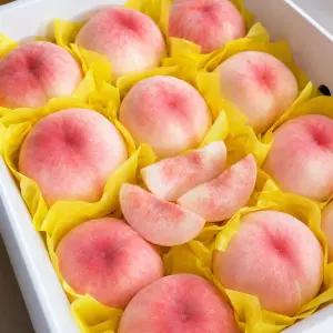 [딱100박스만] 영천 과즙한가득 아삭 딱딱이 복숭아 2.5KG 대과